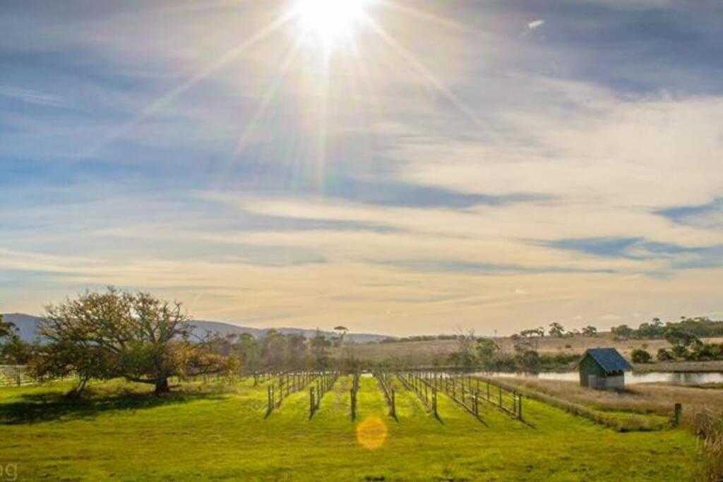 *Newly Relisted* Coach House At Lisdillon Vineyard Vila Little Swanport Exterior foto