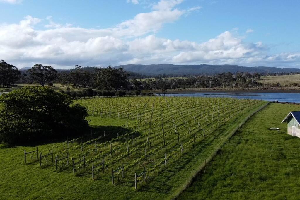 *Newly Relisted* Coach House At Lisdillon Vineyard Vila Little Swanport Exterior foto