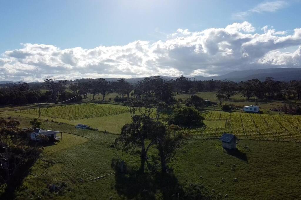 *Newly Relisted* Coach House At Lisdillon Vineyard Vila Little Swanport Exterior foto